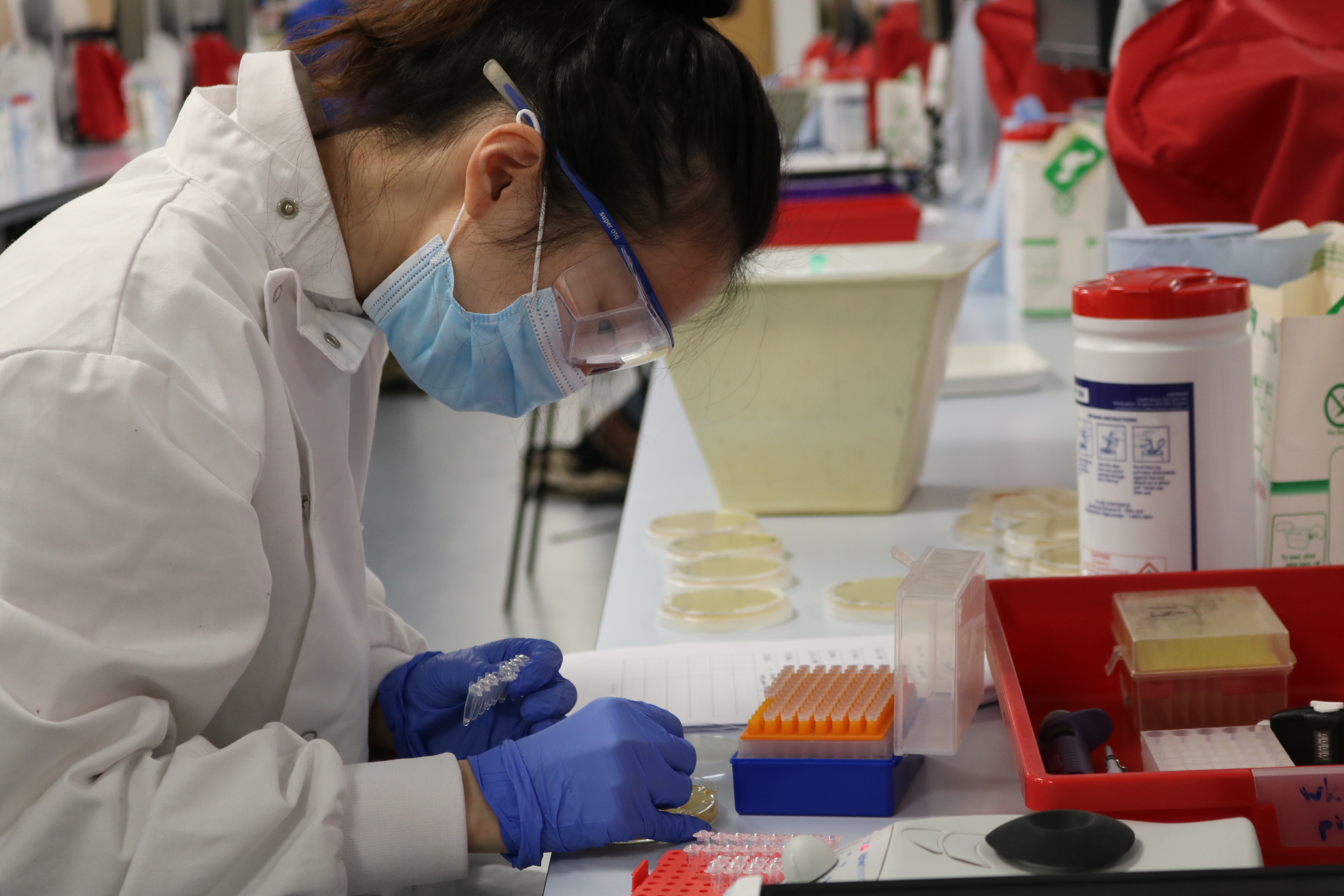 National reference labs are key to effectively managing endemic and ...