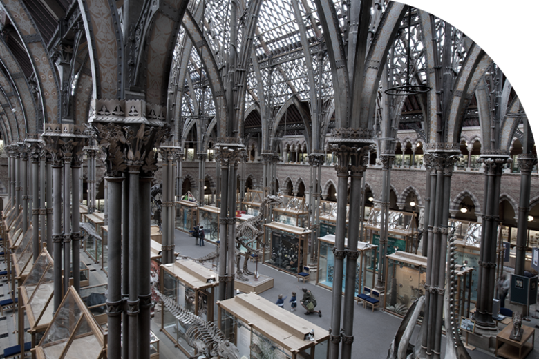 natural history museum credit jorge royan edited by aym maidment