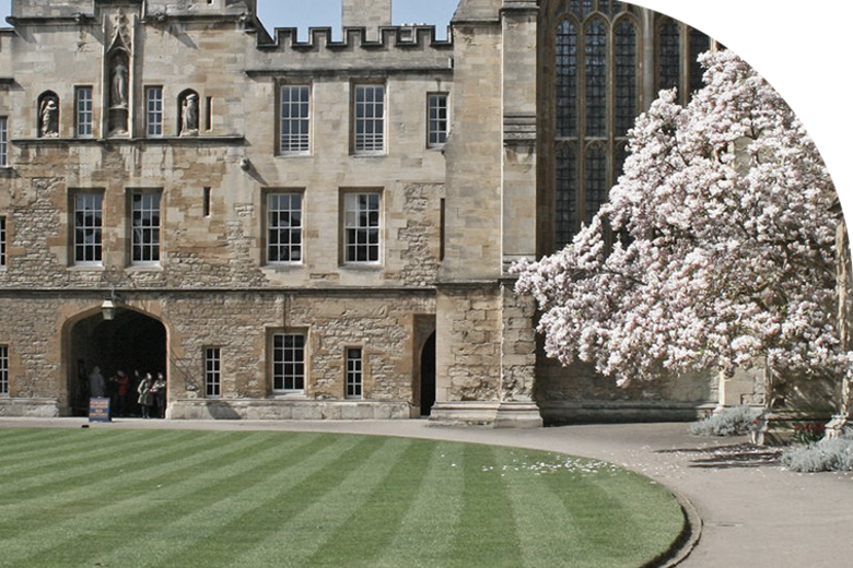 One of the quads at New College, with a blossoming cherry tree