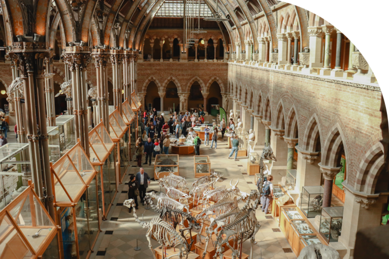 a view down from the first floor into the main atrium of the museum of natural history