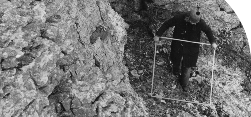 A student holding a quadrat on a botany fieldtrip in the 1970s