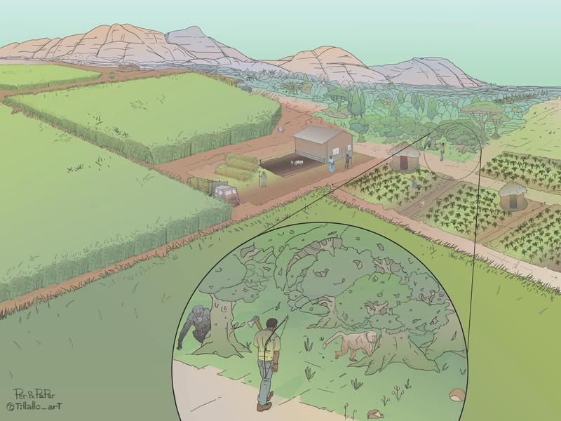 Considering the mental health implications of nature conservation ...