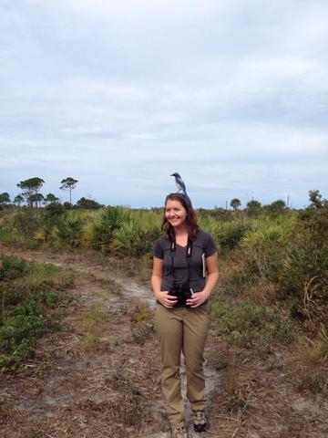 florida scrub jay on molly's head